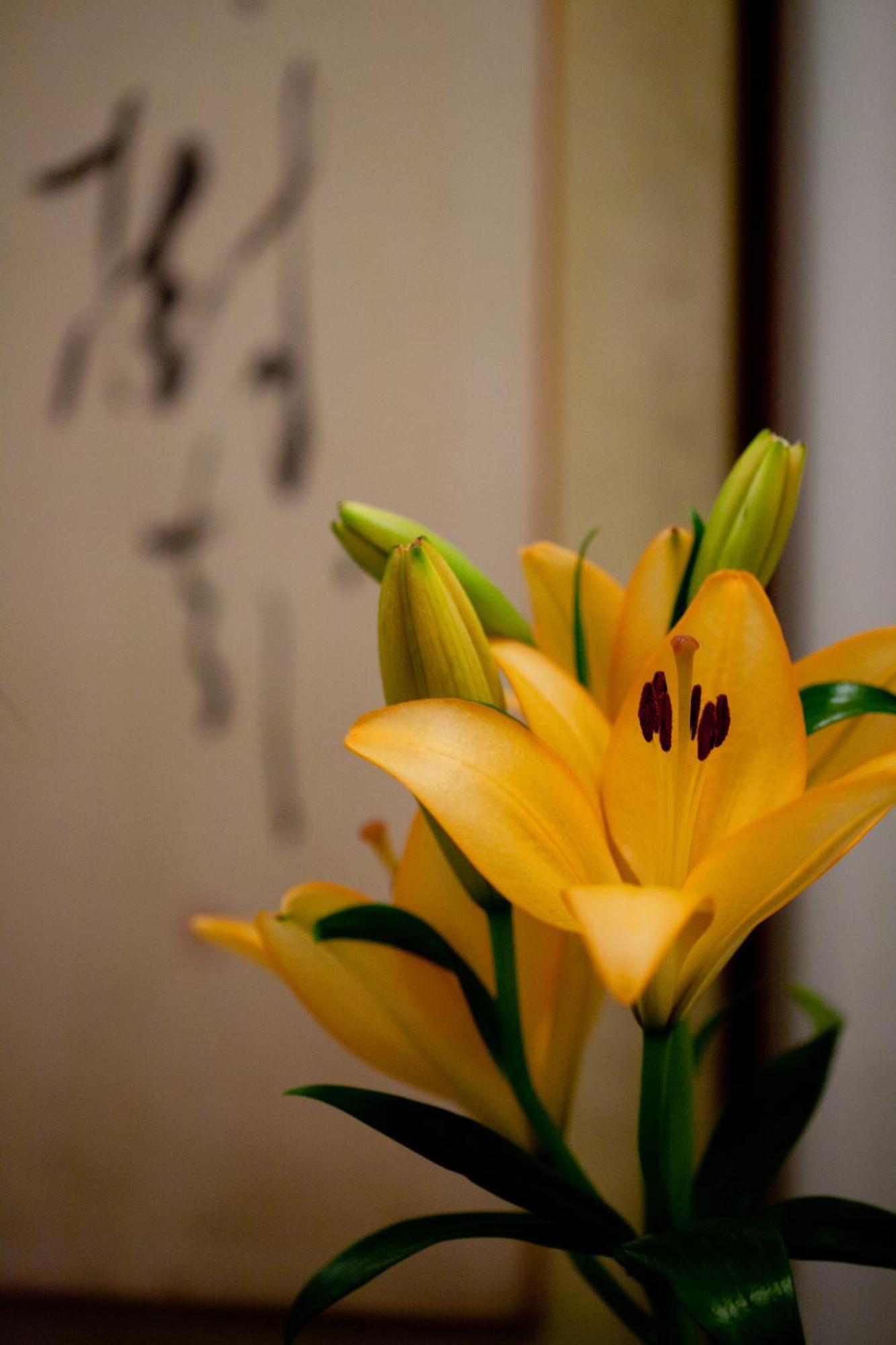 Ryokan Kimi Tóquio